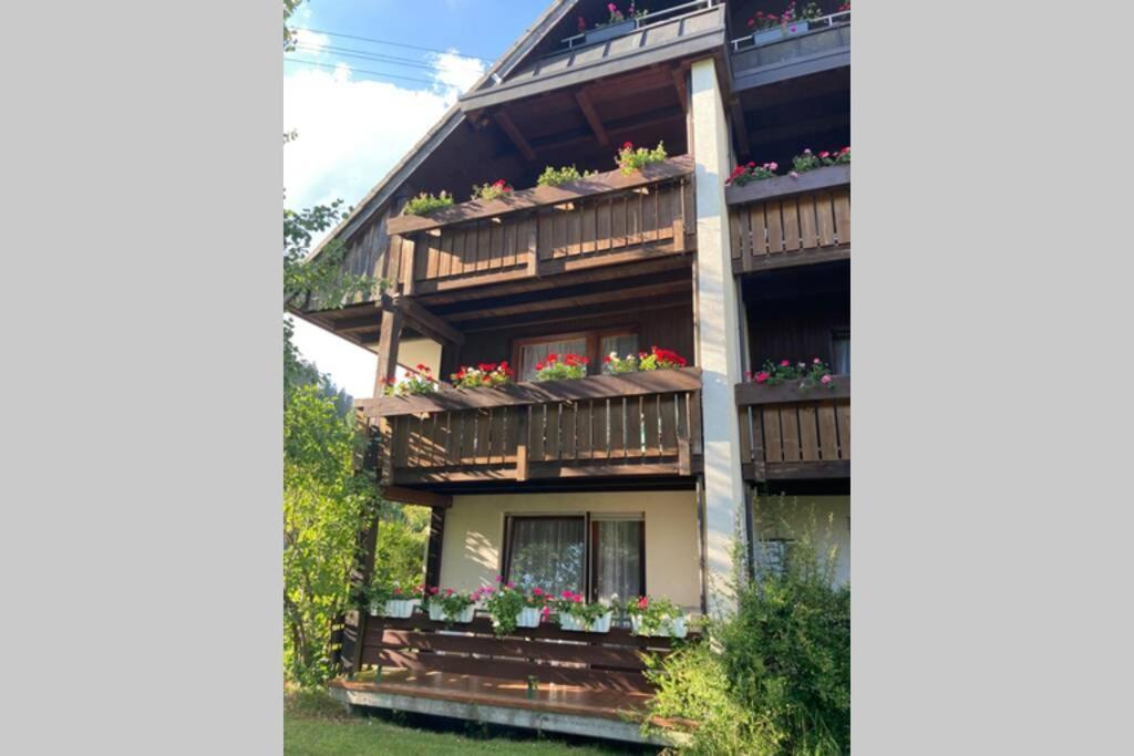 Gemuetliche Ferienwohnung In Sankt Blasien Bagian luar foto