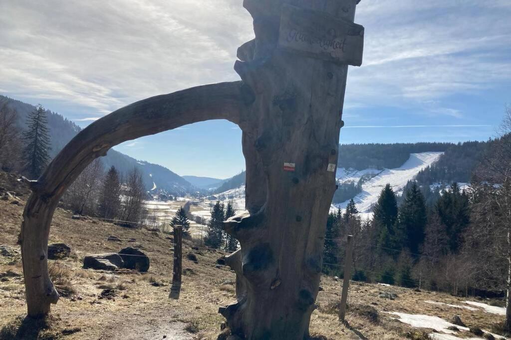 Gemuetliche Ferienwohnung In Sankt Blasien Bagian luar foto