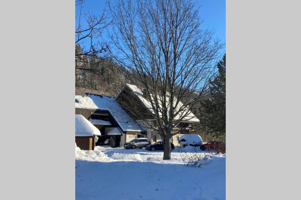 Gemuetliche Ferienwohnung In Sankt Blasien Bagian luar foto