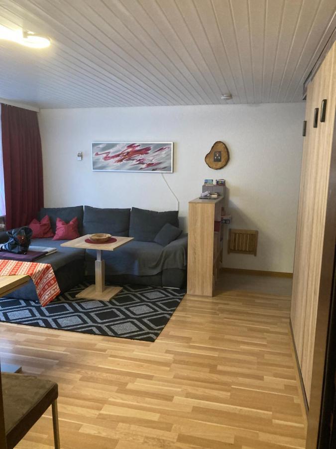 Gemuetliche Ferienwohnung In Sankt Blasien Bagian luar foto